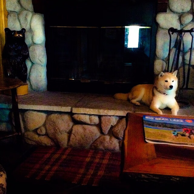 足球之夜的神奇翻转，冷静逆袭与火焰独舞