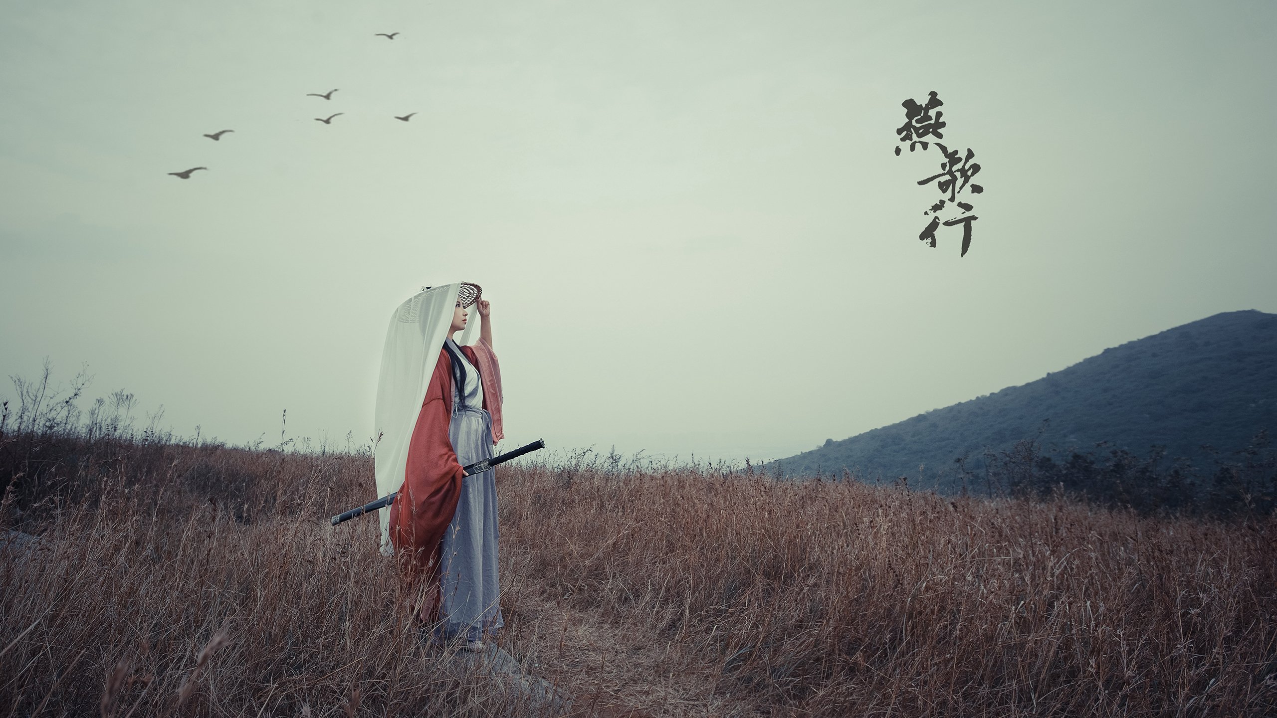 唯一性的辉煌，汉密尔顿驾驶迈凯伦力克法拉利，刷新单圈纪录