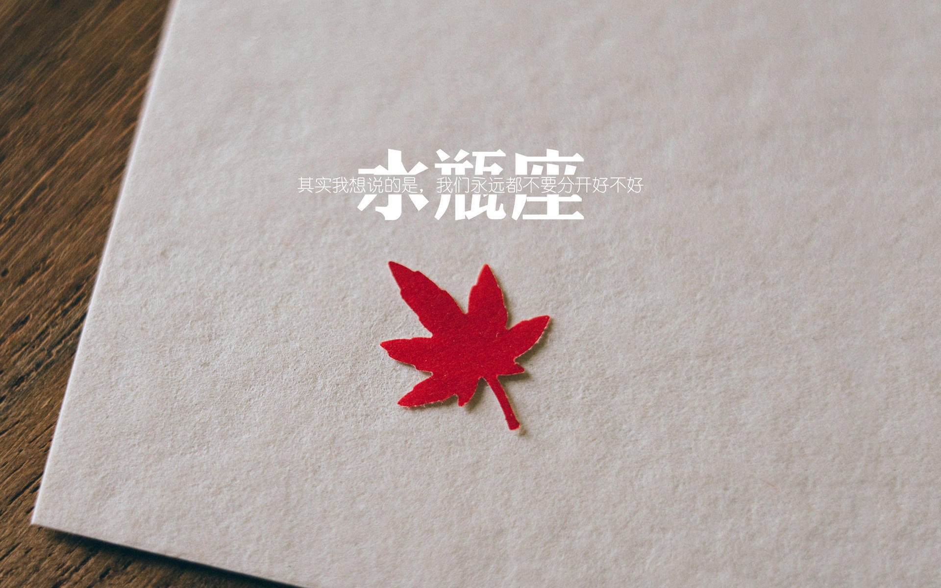 霍勒迪一剑封喉！上海队主场力克独行侠