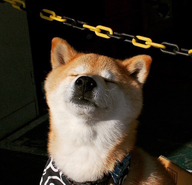 绝地反击，石宇奇关键制胜助泰国队险胜印尼，团体赛再现个人英雄主义