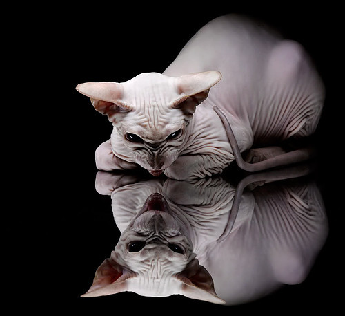 点球王幽灵附体?墨西哥若日尼奥’导演3球逆转玻利维亚