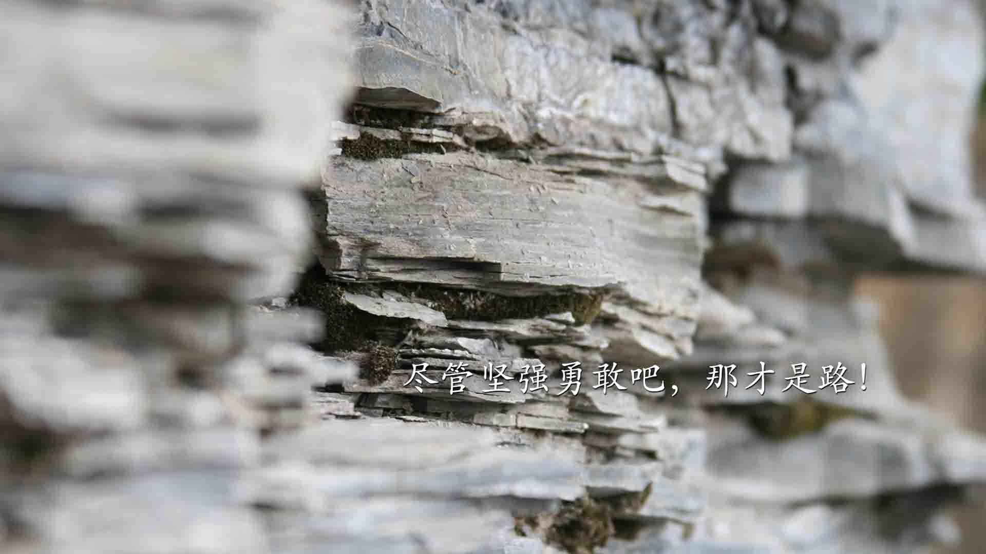 波斯湾的星光照亮路易二世球场,当伊朗幻象遇上摩洛哥雄狮,C罗的冠军魂穿越时空助阵