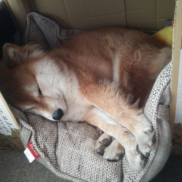 封神西决夜！杰伦格林化身休城救世主