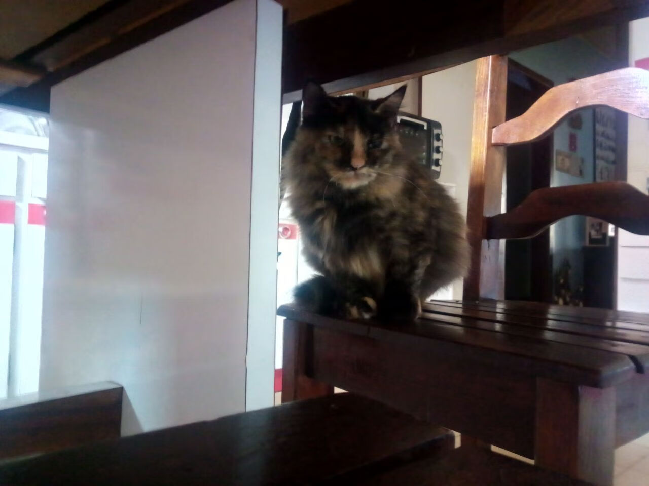 温哥华的雪落进塞纳河，加拿大绝杀巴黎，卡塞米罗成为关键先生的唯一剧本