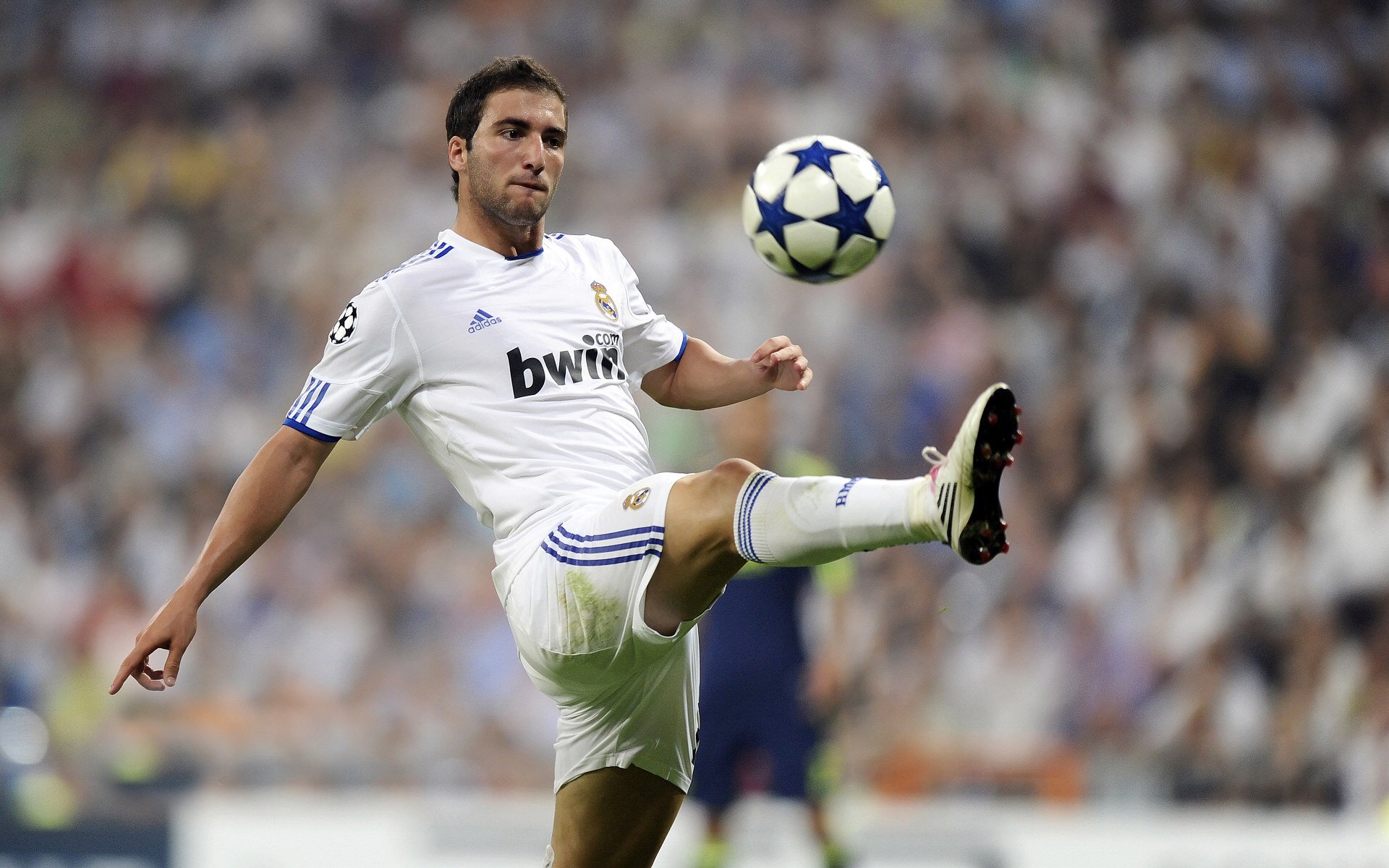 利刃出鞘之夜，保罗用手术刀般的冷静，将质疑与对手一并冰封