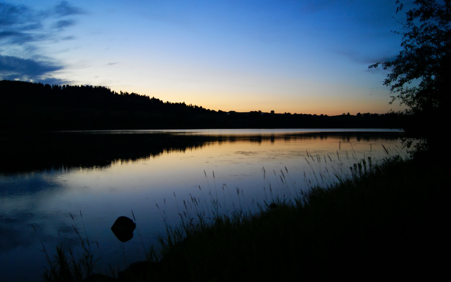 影子战争，加克波以沉默的艺术，在维也纳的轻取中完成终极接管