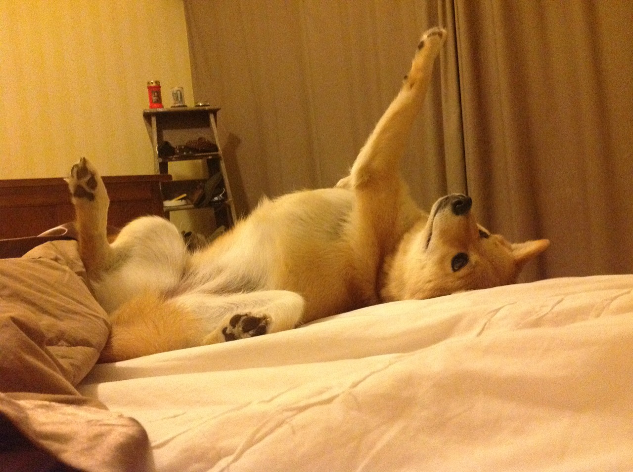 当篮球巨星降临足球生死战，一场跨越维度的体育狂想