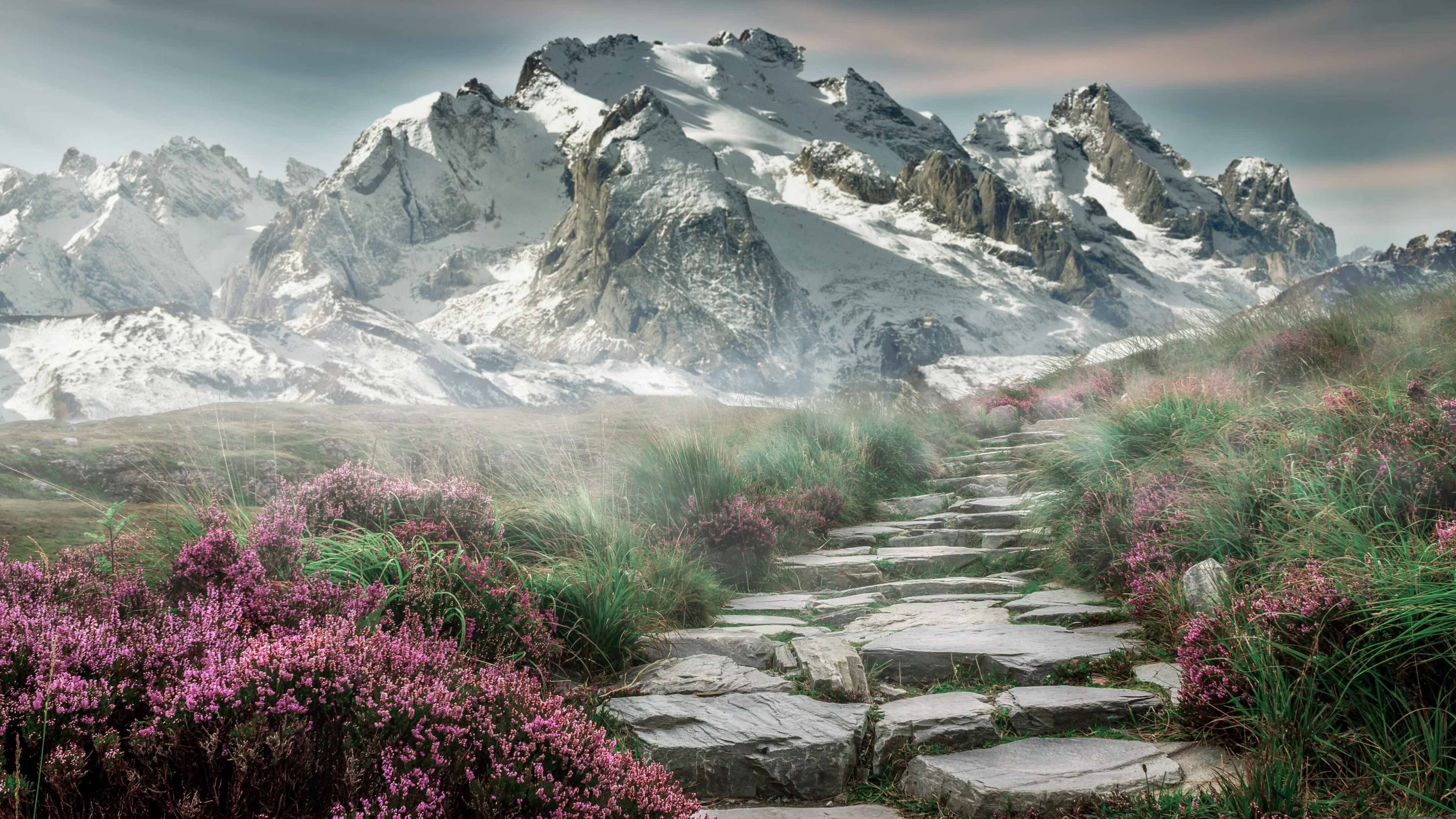 金字塔顶峰的对决,利物浦强势客串世界杯舞台,跨界绞杀阿根廷引燃足球新纪元