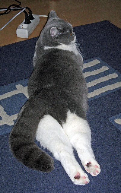 旭日东升，布伦森以关键先生之姿，助太阳拔城破晓