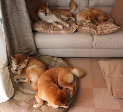 爱游戏官网-夜战双赛道，当巴林赛道呼啸声遇见黄喜灿的致命一击