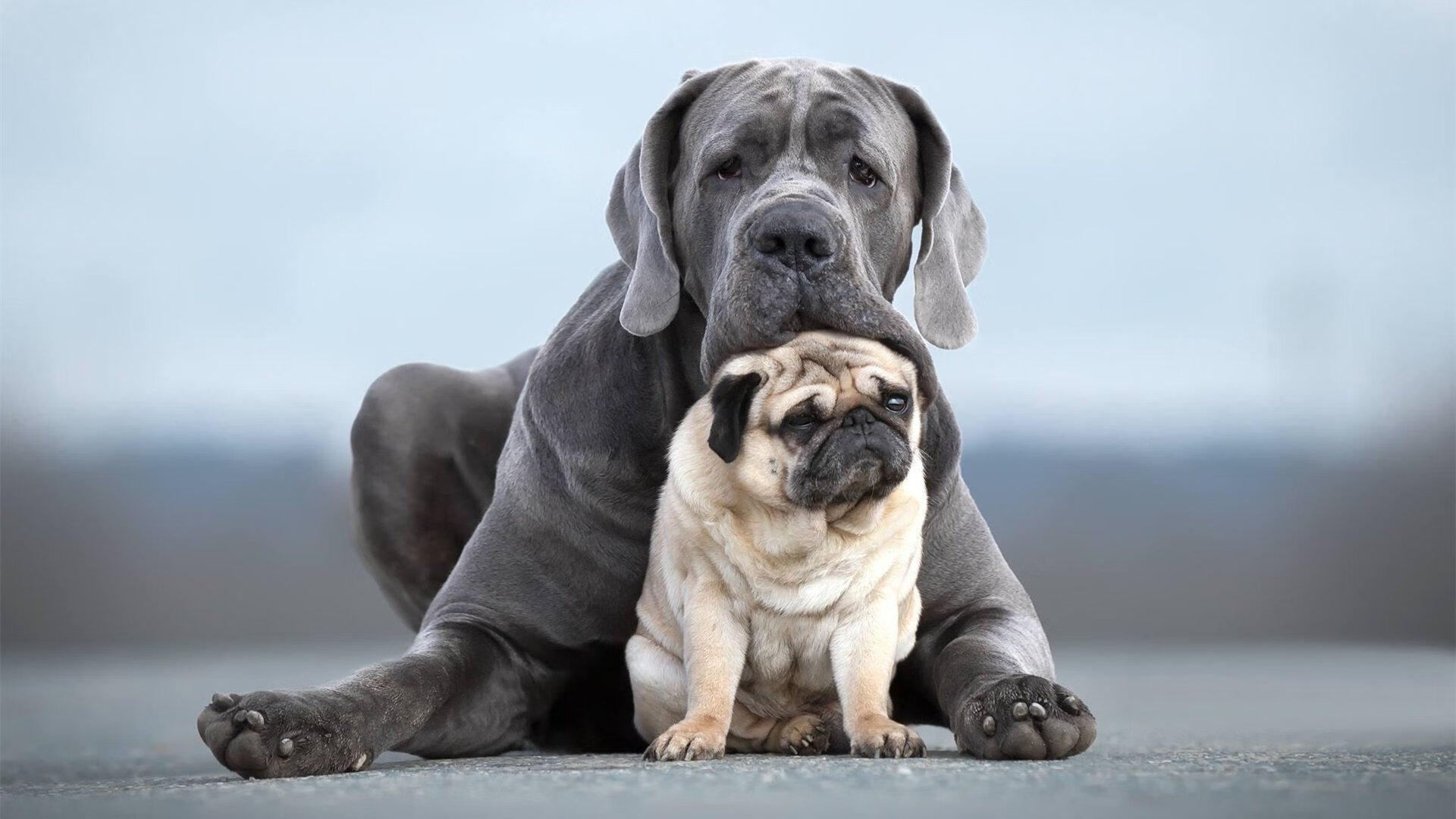 轰鸣赛道与终场绝杀，同一夜晚，两种胜利史诗